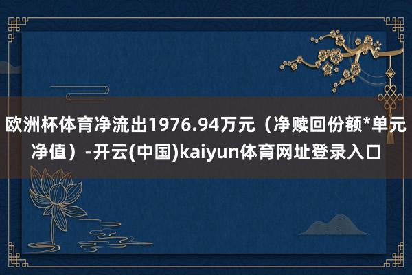 欧洲杯体育净流出1976.94万元（净赎回份额*单元净值）-开云(中国)kaiyun体育网址登录入口